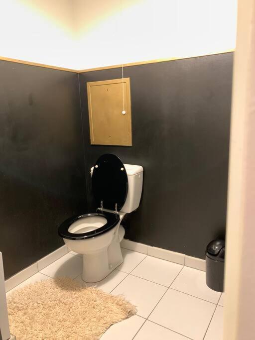 Appartement Moderne Et Spacieux Proche Paris Alfortville Luaran gambar